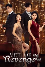 Watch Free Veil of Revenge Movies Full HD Soaper TV