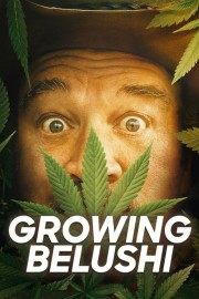 Watch Free Growing Belushi Movies Full HD Soaper TV