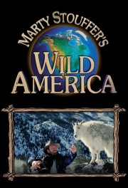 Watch Free Wild America Movies Full HD Soaper TV