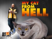 Watch Free My Cat from Hell Movies Full HD Soaper TV