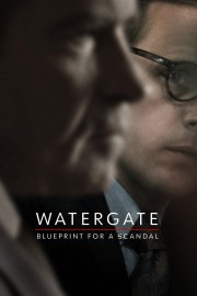 Watch Free Watergate: Blueprint for a Scandal Movies Full HD Soaper TV