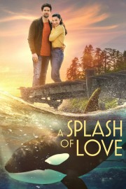 Watch Free A Splash of Love Movies Full HD Soaper TV