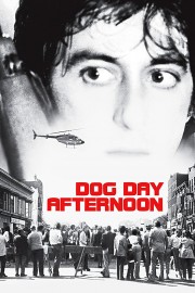 Watch Free Dog Day Afternoon Movies Full HD Soaper TV