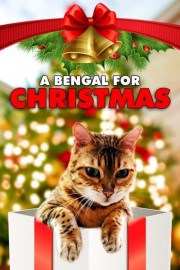 Watch Free A Bengal for Christmas Movies Full HD Soaper TV