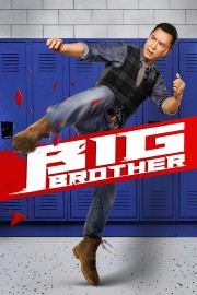 Watch Free Big Brother Movies Full HD Soaper TV