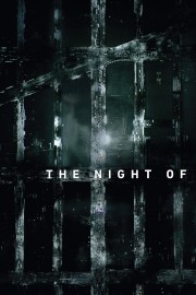 Watch Free The Night Of Movies Full HD Soaper TV