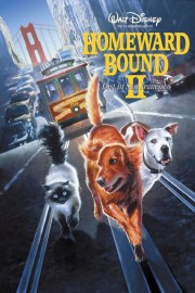 Watch Free Homeward Bound II: Lost in San Francisco Movies Full HD Soaper TV