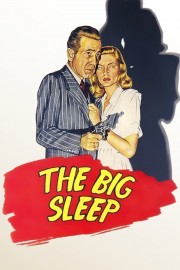 Watch Free The Big Sleep Movies Full HD Soaper TV