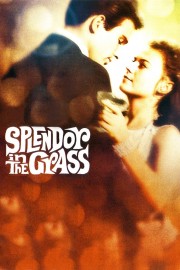 Watch Free Splendor in the Grass Movies Full HD Soaper TV