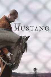 Watch Free The Mustang Movies Full HD Soaper TV