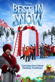 Watch Free Best in Snow Movies Full HD Soaper TV