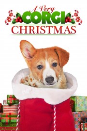 Watch Free A Very Corgi Christmas Movies Full HD Soaper TV