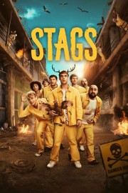 Watch Free Stags Movies Full HD Soaper TV