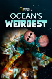 Watch Free Ocean's Weirdest Movies Full HD Soaper TV