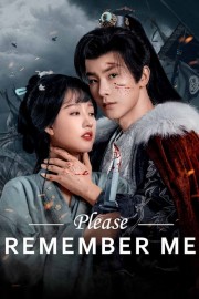 Watch Free Please Remember Me Movies Full HD Soaper TV