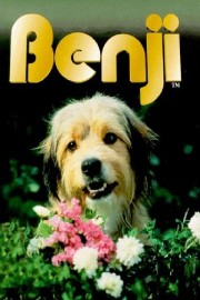 Watch Free Benji Movies Full HD Soaper TV