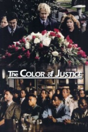 Watch Free Color of Justice Movies Full HD Soaper TV