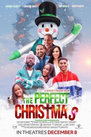 Watch Free The Perfect Christmas Movies Full HD Soaper TV