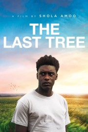 Watch Free The Last Tree Movies Full HD Soaper TV