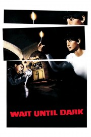 Watch Free Wait Until Dark Movies Full HD Soaper TV