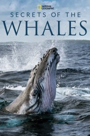 Watch Free Secrets of the Whales Movies Full HD Soaper TV