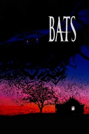 Watch Free Bats Movies Full HD Soaper TV