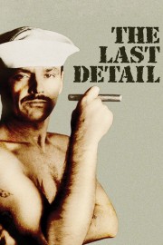 Watch Free The Last Detail Movies Full HD Soaper TV