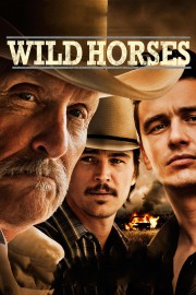 Watch Free Wild Horses Movies Full HD Soaper TV