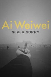 Watch Free Ai Weiwei: Never Sorry Movies Full HD Soaper TV