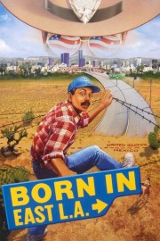 Watch Free Born in East L.A. Movies Full HD Soaper TV