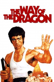 Watch Free The Way of the Dragon Movies Full HD Soaper TV