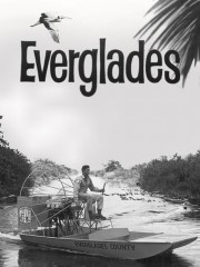 Watch Free Everglades Movies Full HD Soaper TV