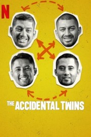 Watch Free The Accidental Twins Movies Full HD Soaper TV