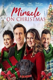 Watch Free Miracle on Christmas Movies Full HD Soaper TV