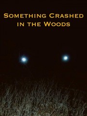 Watch Free Something Crashed in the Woods Movies Full HD Soaper TV