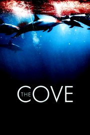 Watch Free The Cove Movies Full HD Soaper TV