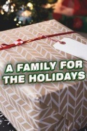 Watch Free A Family for the Holidays Movies Full HD Soaper TV