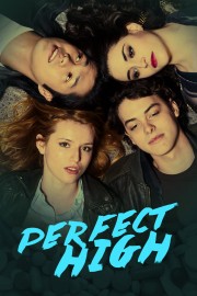 Watch Free Perfect High Movies Full HD Soaper TV