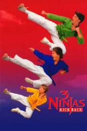 Watch Free 3 Ninjas Kick Back Movies Full HD Soaper TV