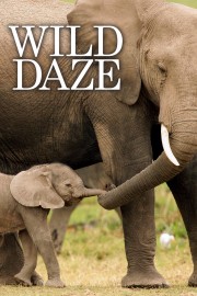 Watch Free Wild Daze Movies Full HD Soaper TV