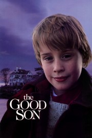 Watch Free The Good Son Movies Full HD Soaper TV