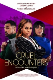 Watch Free Cruel Encounters Movies Full HD Soaper TV