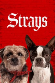 Watch Free Strays Movies Full HD Soaper TV