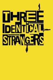 Watch Free Three Identical Strangers Movies Full HD Soaper TV