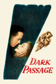 Watch Free Dark Passage Movies Full HD Soaper TV