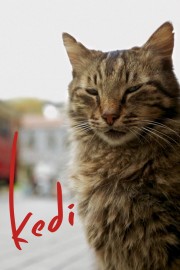 Watch Free Kedi Movies Full HD Soaper TV