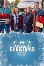 Watch Free Poinsettias for Christmas Movies Full HD Soaper TV