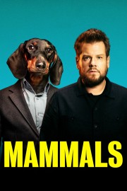 Watch Free Mammals Movies Full HD Soaper TV