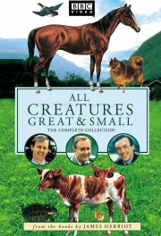 Watch Free All Creatures Great and Small Movies Full HD Soaper TV