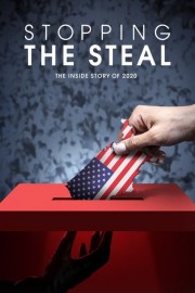 Watch Free Stopping the Steal Movies Full HD Soaper TV